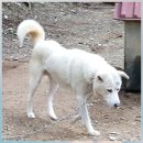 자룡농장 이미지