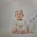 킹핏 이미지