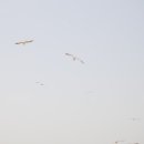 꽃향기펜션 이미지