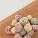 페트코코 이미지