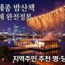 2026 세종 밤마실 주간, 이것만 알면 200% 즐기는 완벽 가이드 (Feat. 숨겨진 명소와 할인 꿀팁)