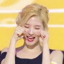 네이처컬렉션 이미지