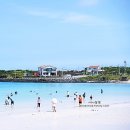 노을빛언덕 | 6월 제주도 2박3일 여행코스 추천