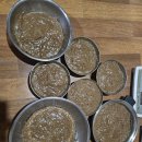 원장님표 도토리묵 무침 이미지