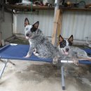 신세계 민박 이미지