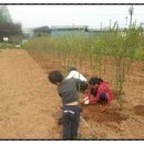 하민농장 이미지