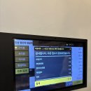 한성 | 세종 나성동양꼬치 추천 한성양꼬치,양갈비후기