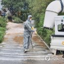 파주양돈단지(2) 이미지