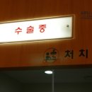 신창동물병원 이미지