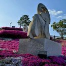 산청 생초국제조각공원 꽃잔디 축제 이미지