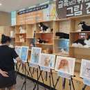 울산광역시 반려동물 문화센터 이미지