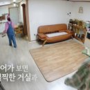 도리내마을 네이버블로그