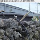 호근동-6 이미지