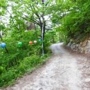 정방사길 이미지