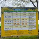 27 | 서산 유기방가옥 수선화축제 4월 30일까지 연장 방문 후기