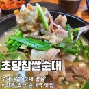 초당찹쌀순대
