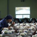 백경한의원 이미지