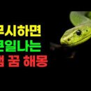 뱀꿈 태몽 뱀 많이 나오는 꿈 풀이 내용은? 이미지