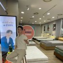 신혼침대 브랜드보다 실속 챙긴 금성침대 매트리스 프레임 세트 구매 후기