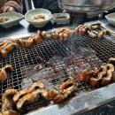 벌떡 장어 이미지