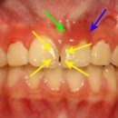진천서울치과의원 이미지