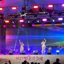 벚꽃길 | 2026 보은 벚꽃길 축제 공연 후기｜힐링 뮤지컬 공연팀 뮤럽