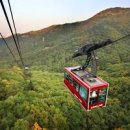 앞산케이블카 이미지