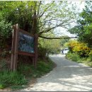 용정사 입구 이미지