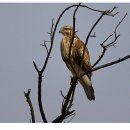 여주-1027 이미지