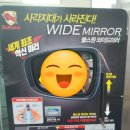 애니카랜드호평점 이미지