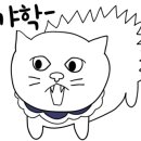 고양이 생활 호텔 이미지