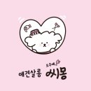 애견살롱 씨몽 이미지