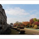 장안공원 이미지