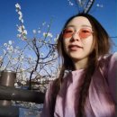 꽃피는 봄이 오면 이미지