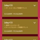 제21. 도쿄 여행_오다이바 이머시브 포트 도쿄 티켓, 후기