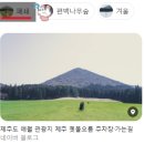 투애월민박 | 완뚜뜨리 제주여행기 1일차