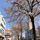 장전로6번길(3-304) | 조이약손ㅣ무너진 얼굴 라인을 위한 낙성대 윤곽관리 후기