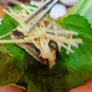 짱어한마리 이미지