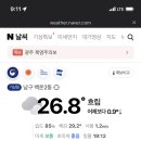 또고기 이미지