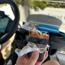 필드 골프클럽 | 하와이 첫 라운딩 프린스 골프클럽 후기