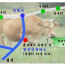 2008 평창한우마을 산나물축제(5/13~5/18) 이미지