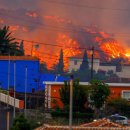 팔마수영장 이미지