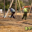 놀부인력 이미지