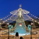 골드카인테리어 | [김포대형카페] 서울 근교 크리스마스 분위기 최고였던 카페드첼시 찐후기