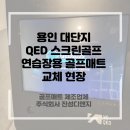 디앤지스크린골프