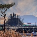 신기해변 이미지