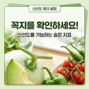 실패없는농산물