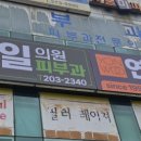 이로운 동물병원 이미지