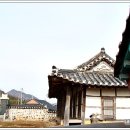 용정사 입구 티스토리