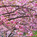완산-4 이미지